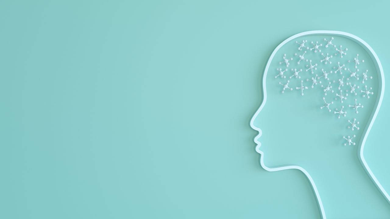 Exploring How Attention-Switching Brain Networks Vary in Autism