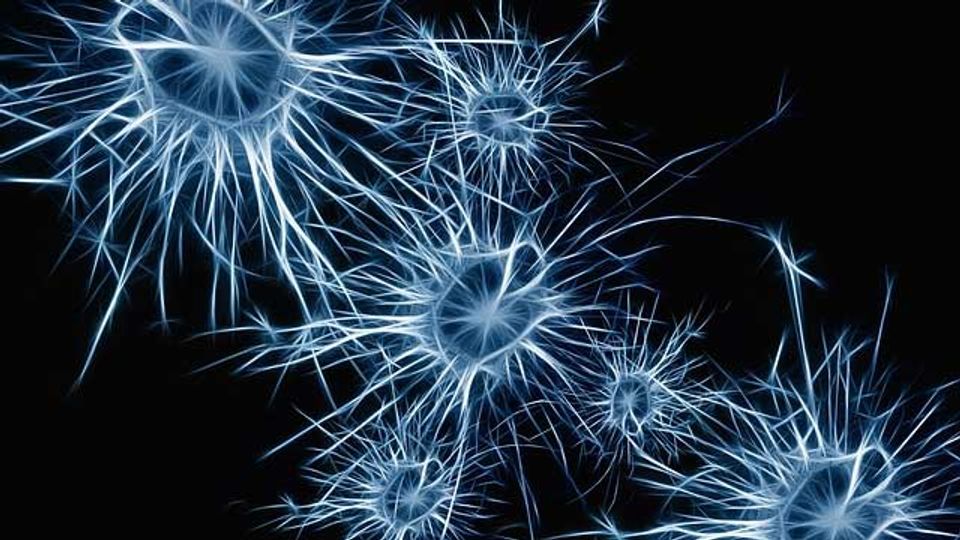 Touch-Sensitive Brain Cells Controlled by Micromagnets content piece image