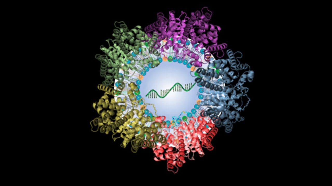Tiny Nanoparticles Deliver Gene Therapy to the Lungs in Animal Model