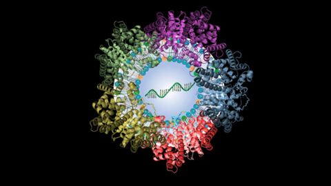 Tiny Nanoparticles Deliver Gene Therapy to the Lungs in Animal Model