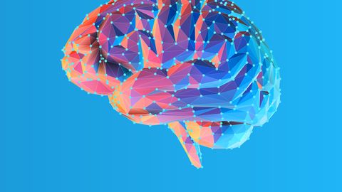 Schizophrenia Genes Linked to Structure of Brain's Surface