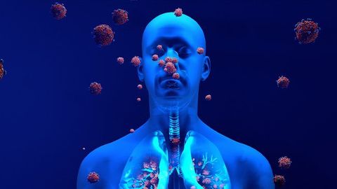 TSE Explores Infection and Immunity – An Introduction to Infection, Immunity and Immune Dysfunction