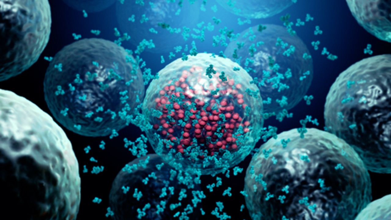 TSE Explores Infection and Immunity – The Immune Response to Bacteria vs Viruses