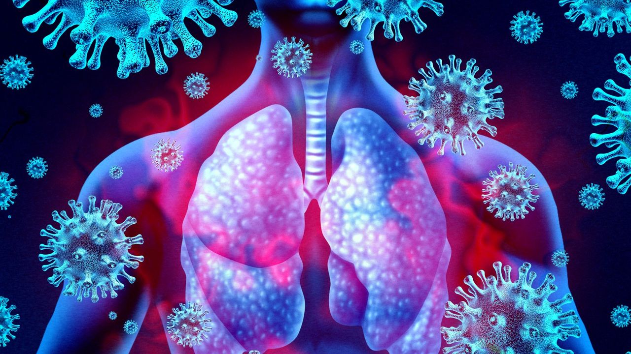 TSE Explores Infection and Immunity – Using Infection Models to Understand Immunity
