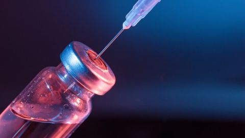 TSE Explores Infection and Immunity – The Route to Immunity Without Infection