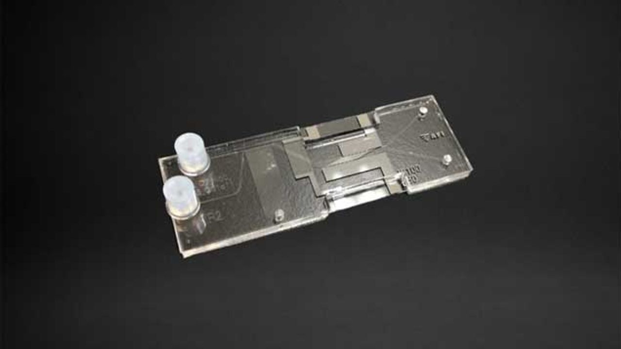 Microfluidic Chip Enables Faster, More Efficient Living Cell Separation
