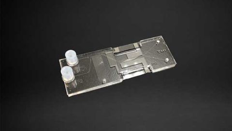 Microfluidic Chip Enables Faster, More Efficient Living Cell Separation