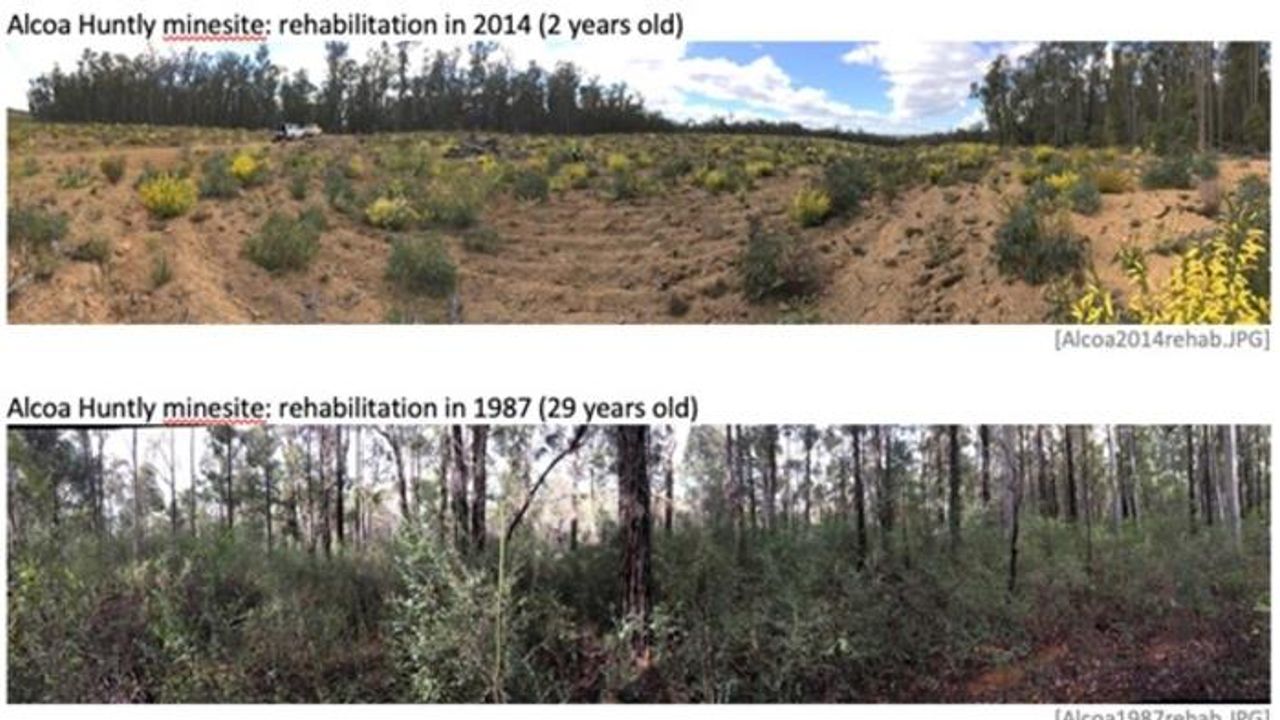 Ecosystem Recovery Mapped Using Soil Microbes