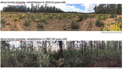 Ecosystem Recovery Mapped Using Soil Microbes