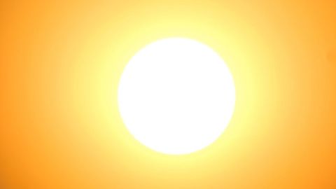 Neural Network Studies Motion on the Surface of the Sun