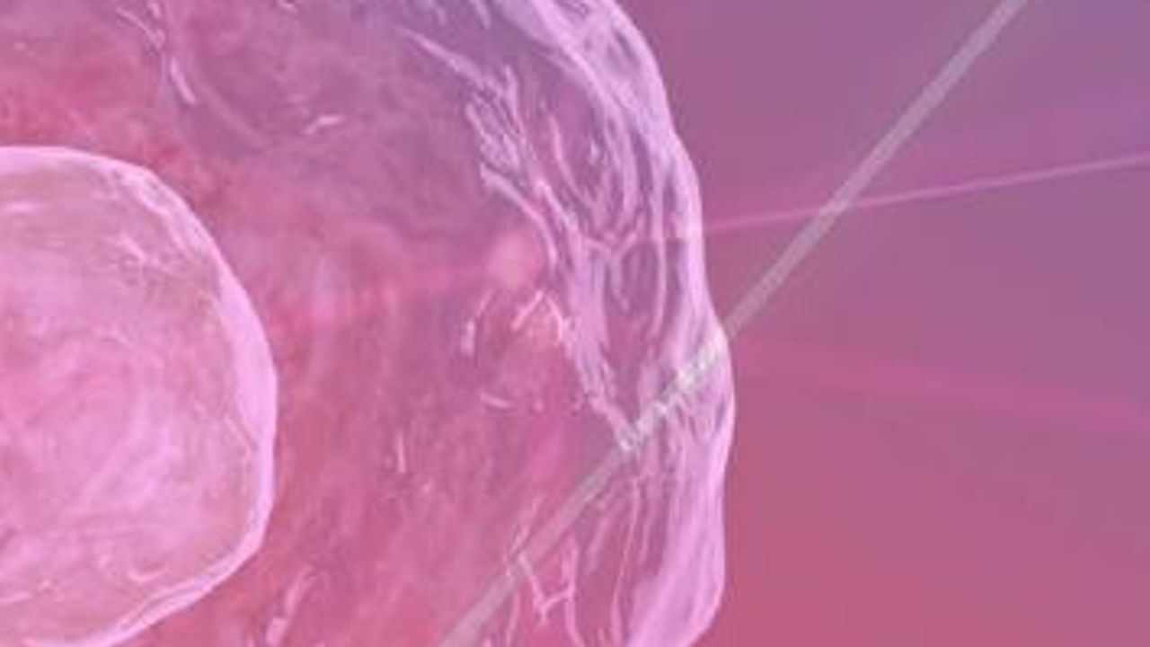 Utilizing Synthetic Biology To Help You Scale and Expedite Discovery