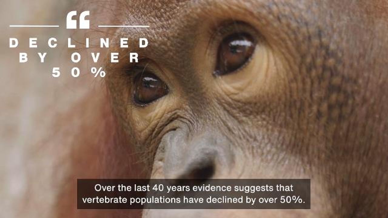 ORG.one: Supporting Sequencing of Critically Endangered Species