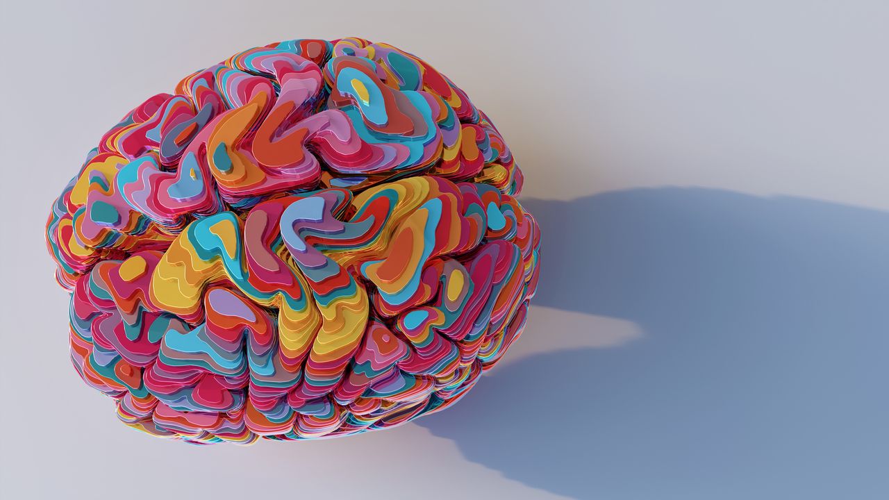New MRI Method Images Epigenetic Changes in the Brain