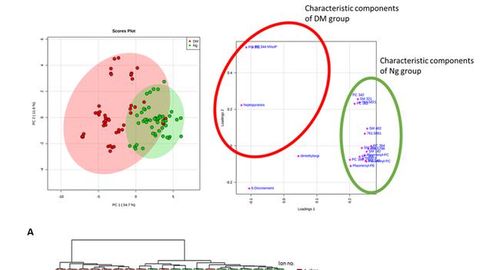 Metabolomics Could Be the Latest Addition to a Forensic Pathologist's Toolkit