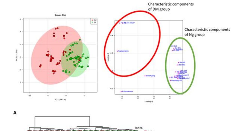 Metabolomics Could Be the Latest Addition to a Forensic Pathologist's Toolkit content piece image