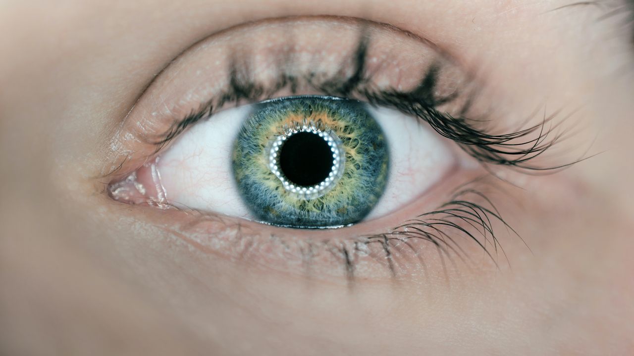 Ubiquitous Protein Protects Brain Cells Impacted by Glaucoma