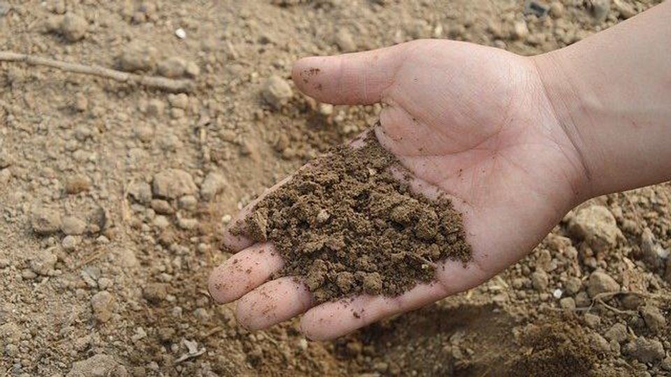 How Much Carbon Is In the Soil?  content piece image