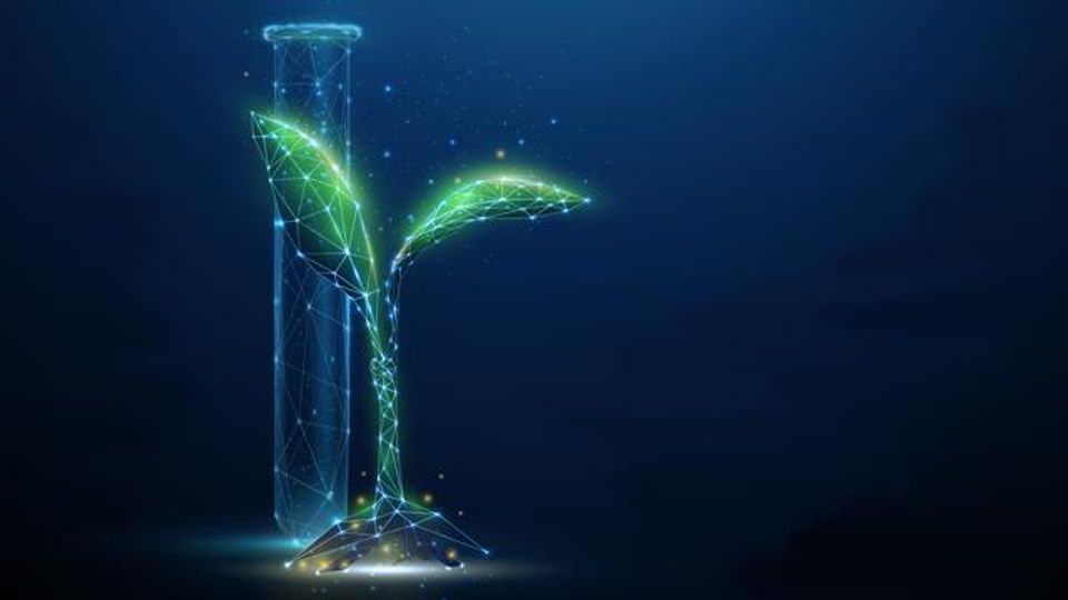 Developing Plant-Based Vaccines and Therapeutics for COVID-19 and Beyond content piece image