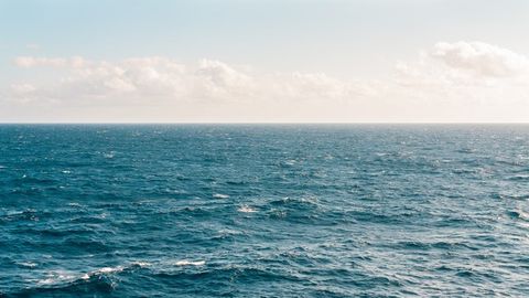 North Sea Sediments Tell the Story of Industrial Pollution