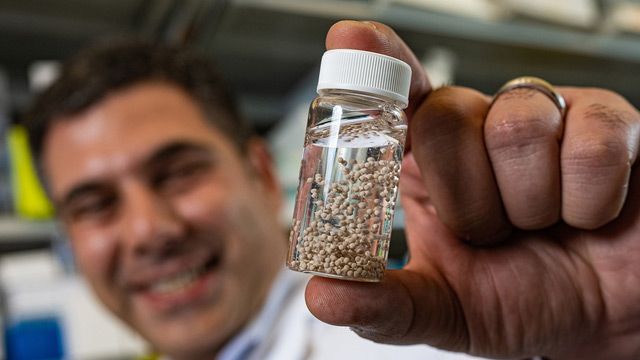 植入“毒品工厂”消除小鼠卵巢和结肠直肠癌内容块的形象