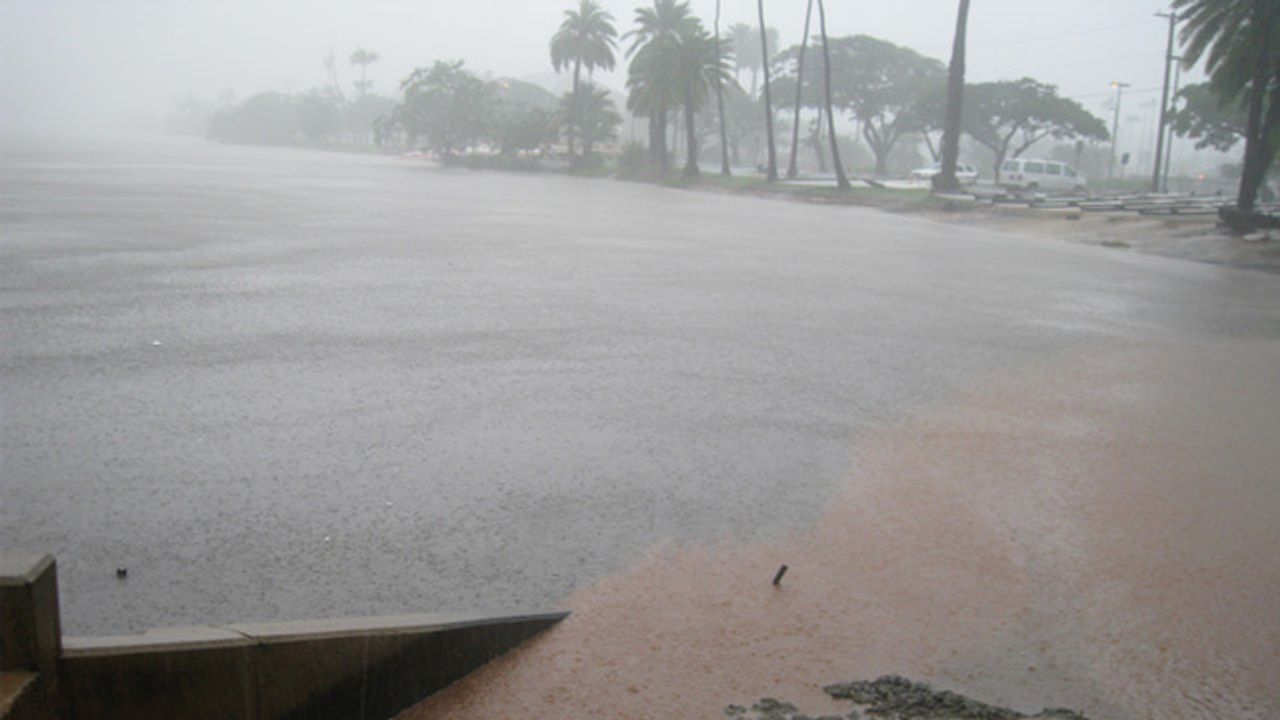 Rainfall Has Strong Impact on Abundance of Infectious Vibrio Bacteria in Waterways