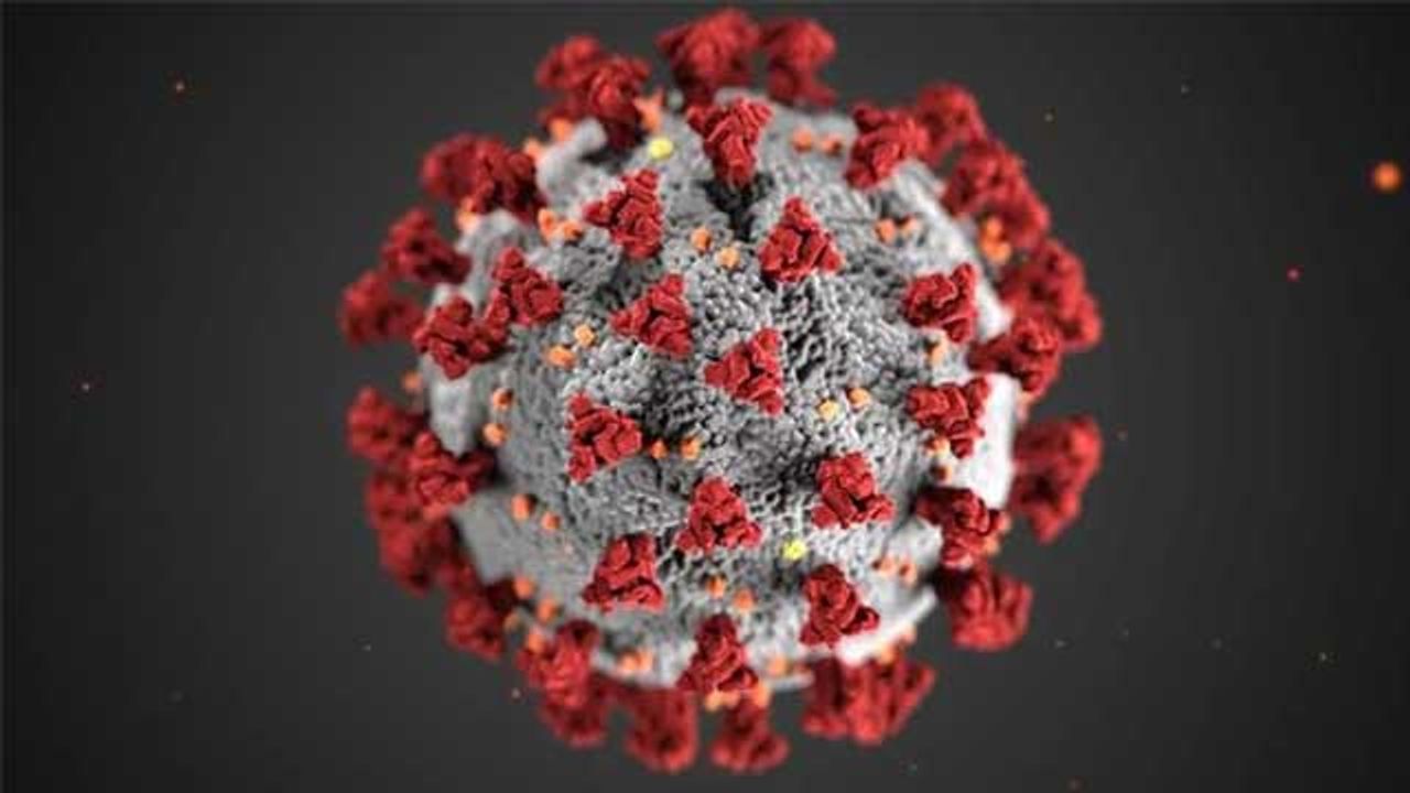All Three Omicron Subvariants Blunt Vaccine and Antibody Effectiveness