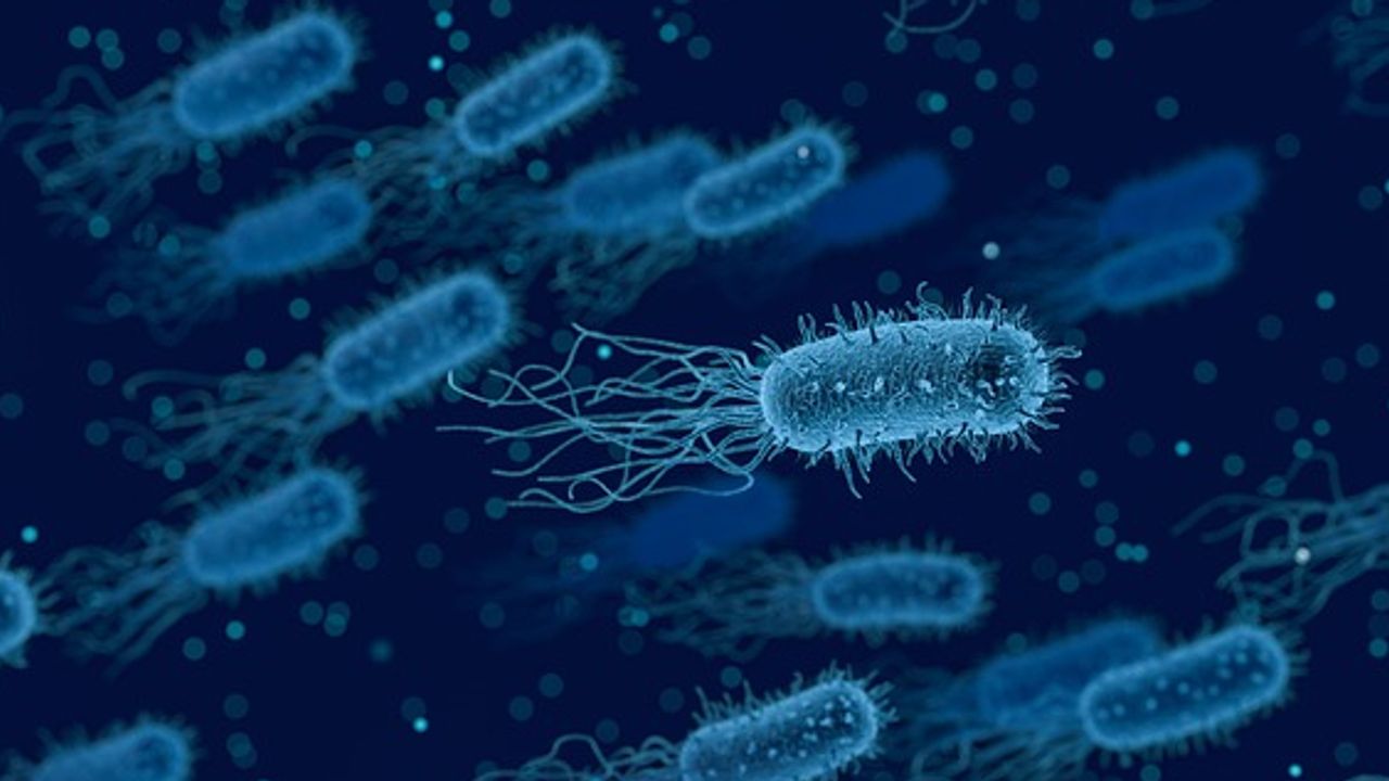 Bacteria Found To Use Speargun-Like Injection Systems