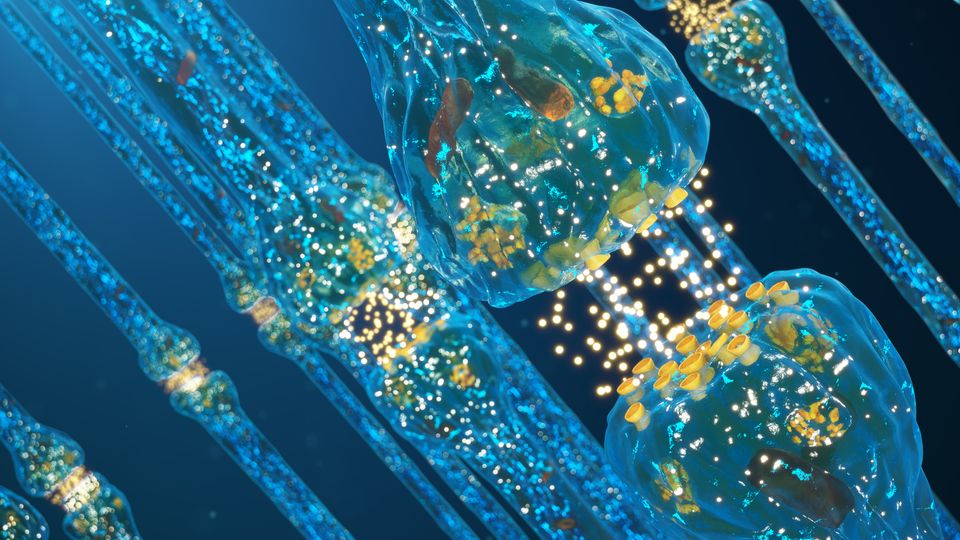 Does Nerve Damage Contribute to Long-COVID Symptoms? content piece image