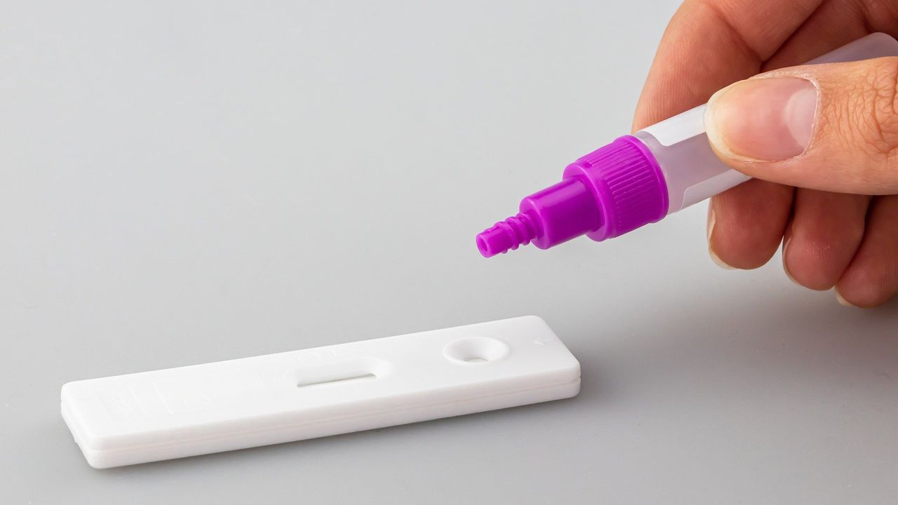 Could Antibody Tests Be an Alternative to or Complement the COVID Vaccine?