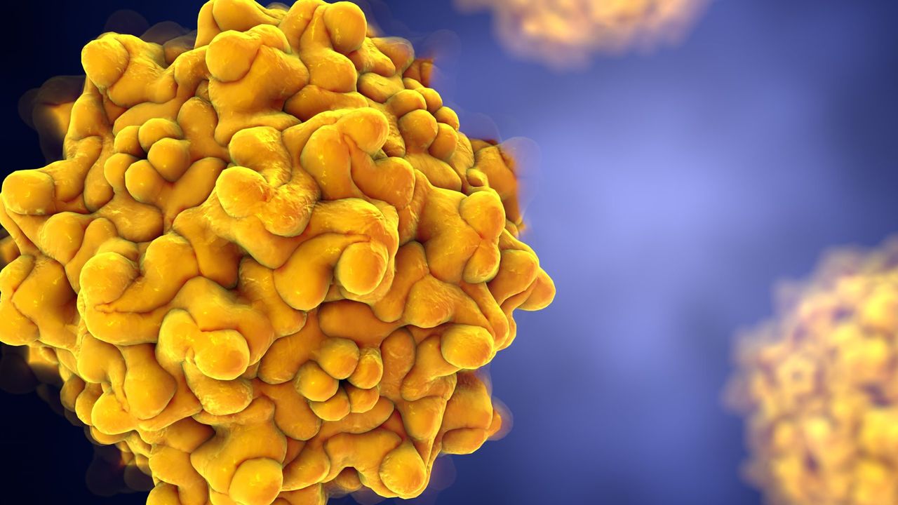 Viral Safety in AAV Production: How Affinity Chromatography Effectively Contributes