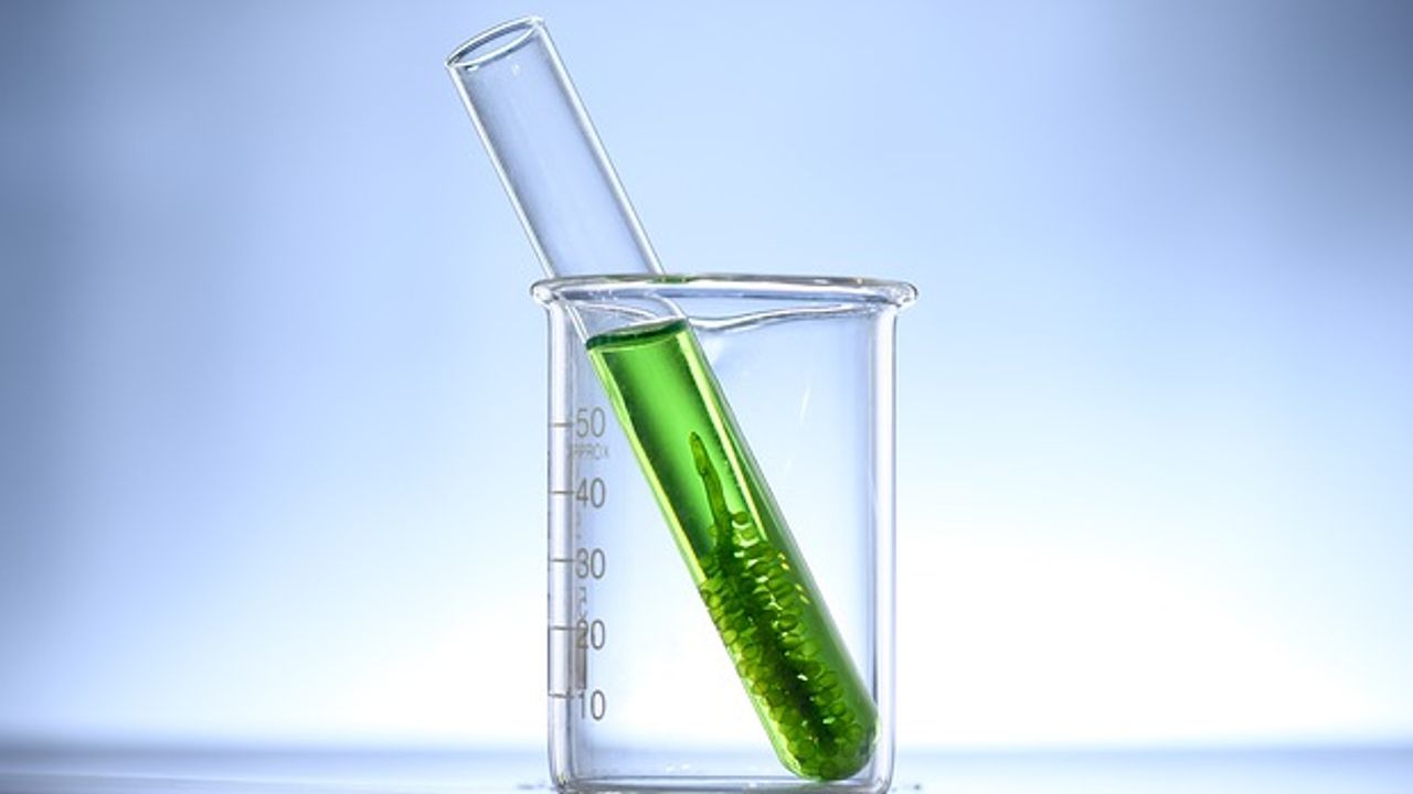 AI Helps Algae To Become a Commercially Viable Biofuel Option