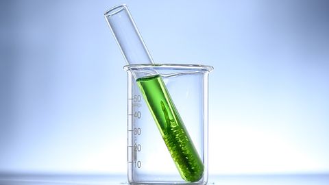 AI Helps Algae To Become a Commercially Viable Biofuel Option