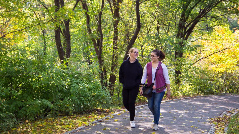 2022 Brain Prize Awarded to Research That Revealed How the Brain Makes Moves content piece image