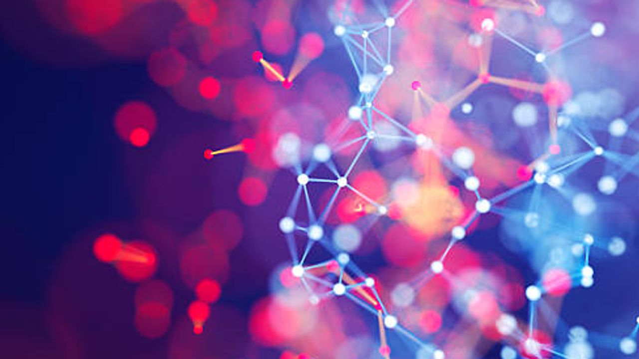 Label-Free, Real-Time Live Cell Assays for 3D Organoids