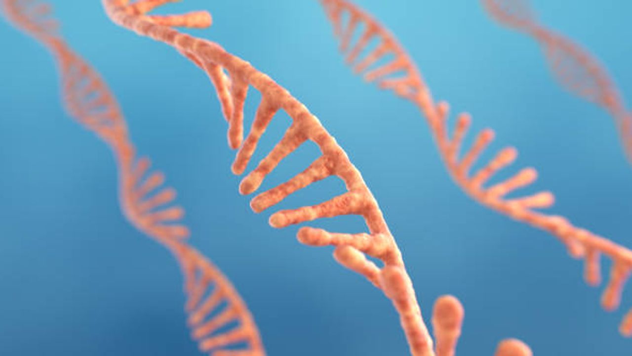 Confident RNA Sample Quality Control and Fragment Analysis.