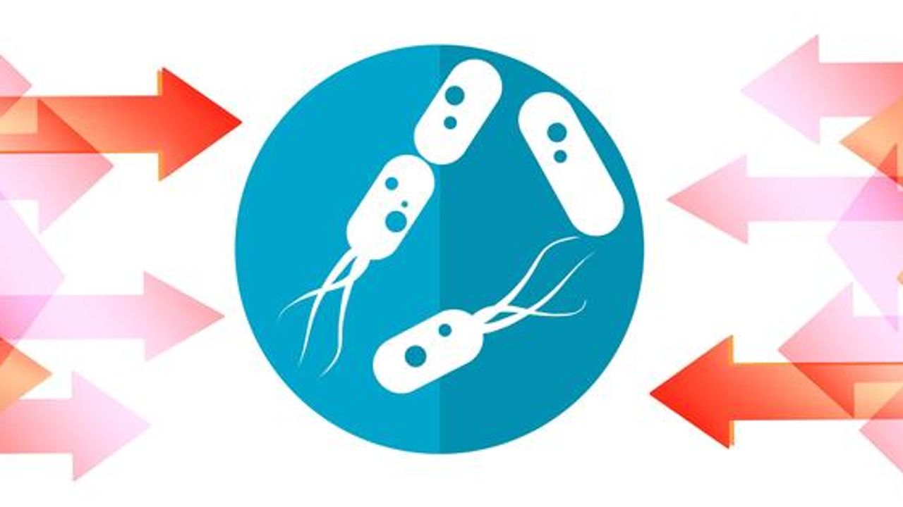Bacteria Press Pause To Cope With Stress