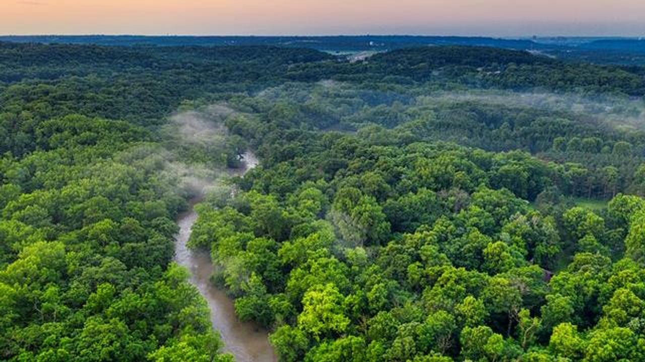 Amazon Rainforest May Be Reaching Tipping Point