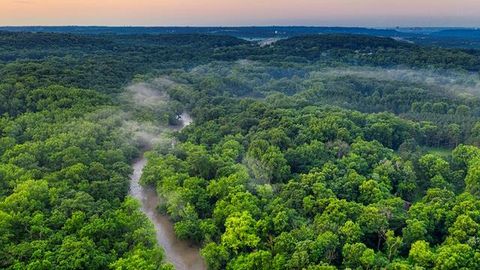Amazon Rainforest May Be Reaching Tipping Point