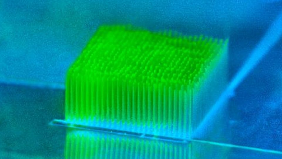 Bacterial "Skyscrapers" Boost Green Energy Generation content piece image