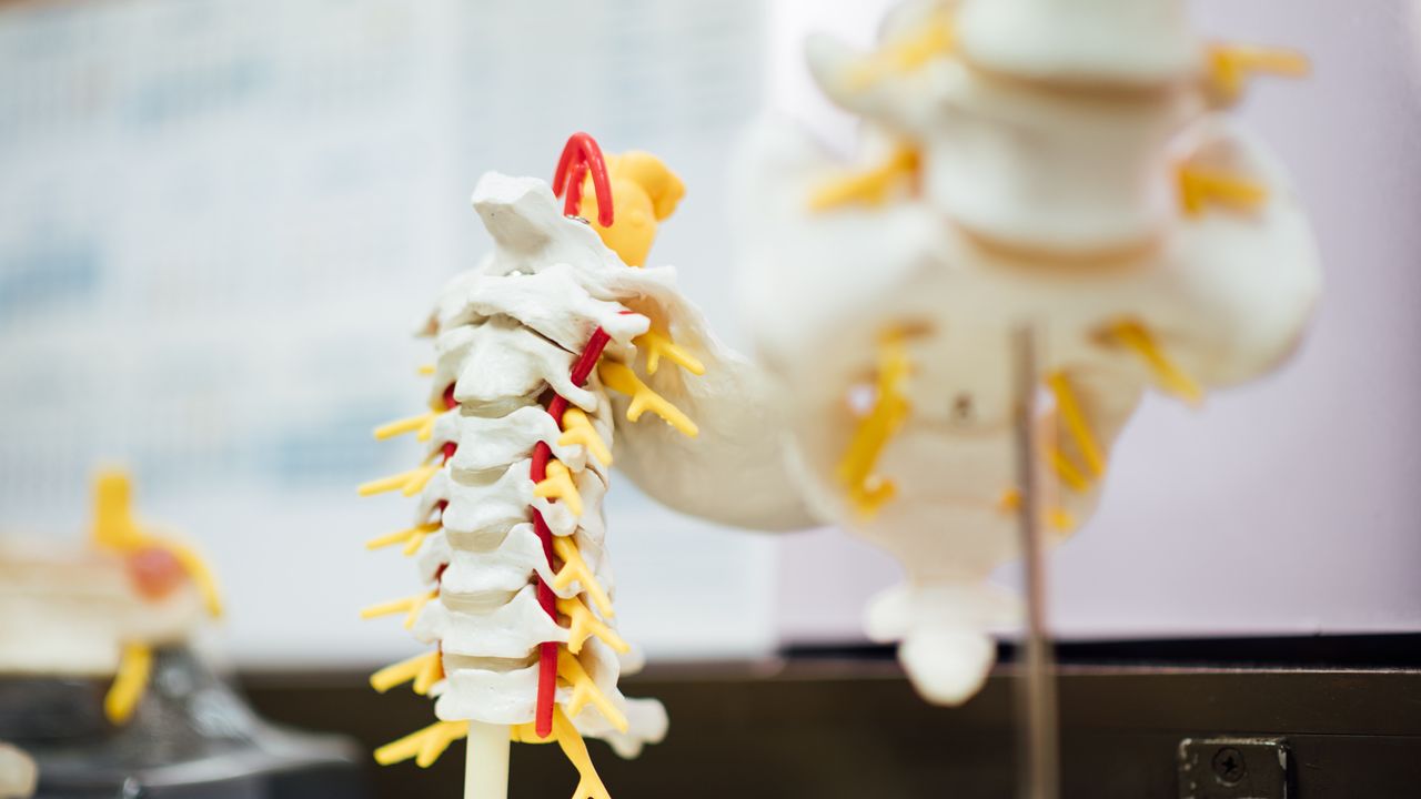 AI Designs Enzyme To Accelerate Recovery From Spinal Cord Injury