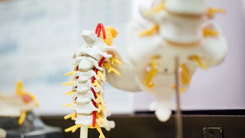 AI Designs Enzyme To Accelerate Recovery From Spinal Cord Injury