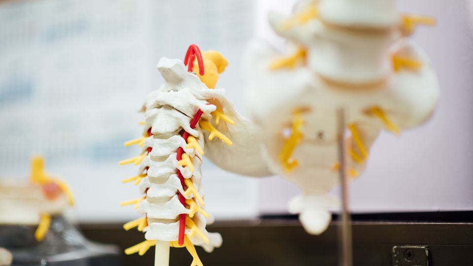 AI Designs Enzyme To Accelerate Recovery From Spinal Cord Injury content piece image