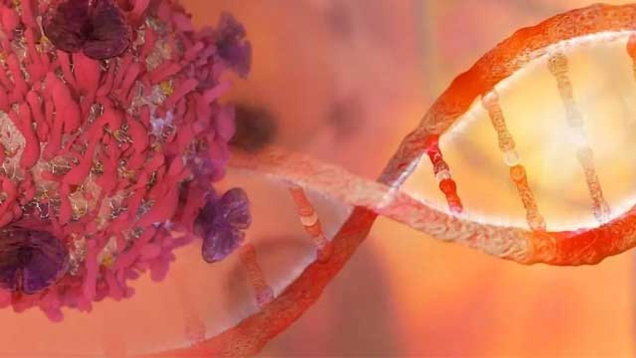 A New Approach for Targeting Treatment-Resistant Cancer