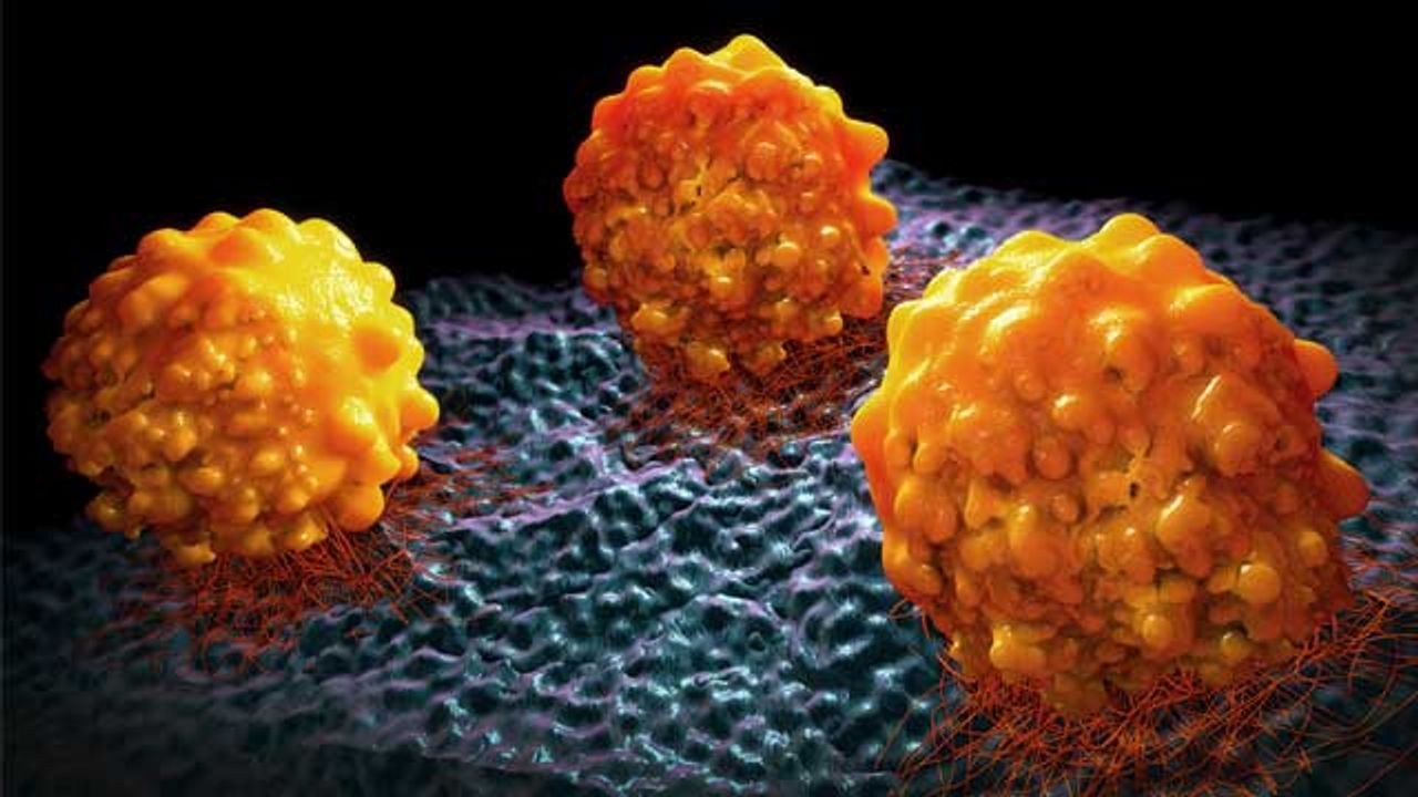 Migrating Through Small Spaces Makes Cancer Cells More Aggressive