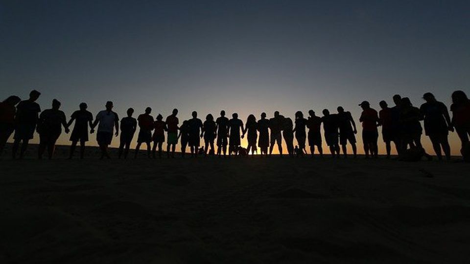 microRNA Genes – Unique to Humans – Discovered content piece image