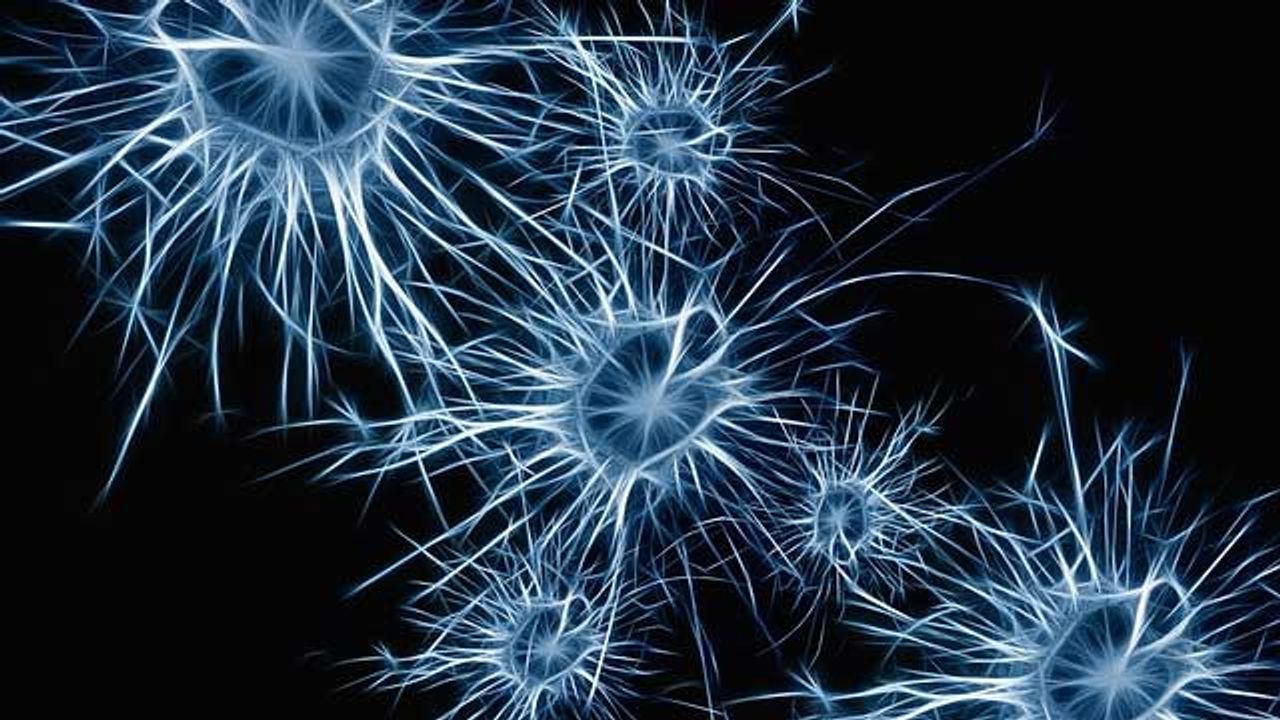 Single Protein Can Reverse the Developmental Clock on Adult Brain Cells