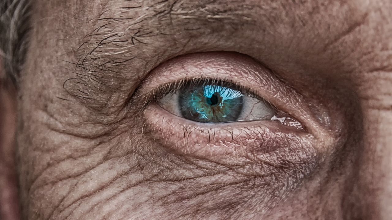 Circadian Clock May Protect Aging Eyes