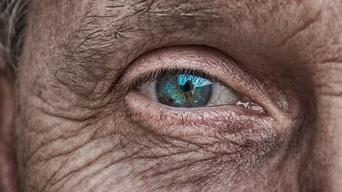 Circadian Clock May Protect Aging Eyes