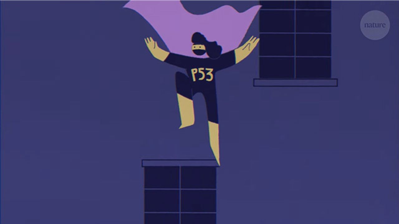 p53: Guardian of the Genome