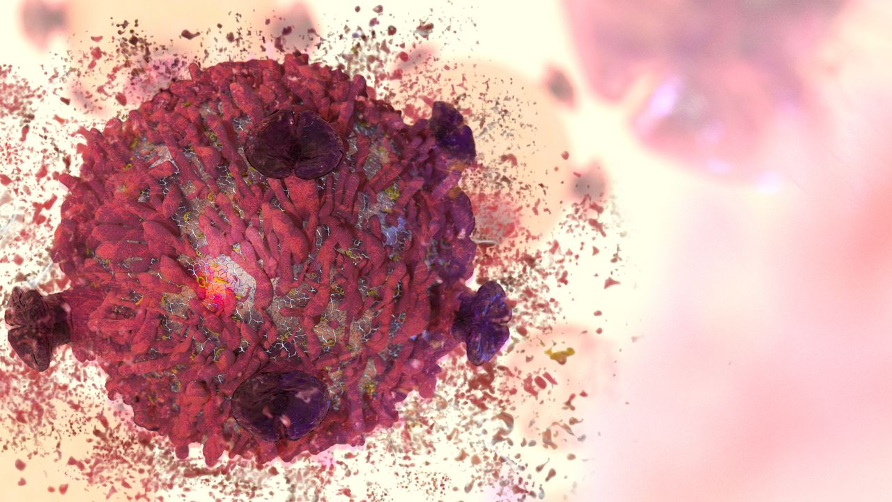 Could Cancer Cells’ Iron Addiction Be Their Achilles Heel?